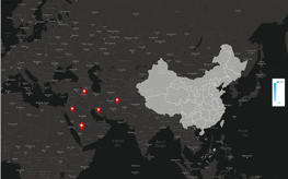 FineReport Combined Map