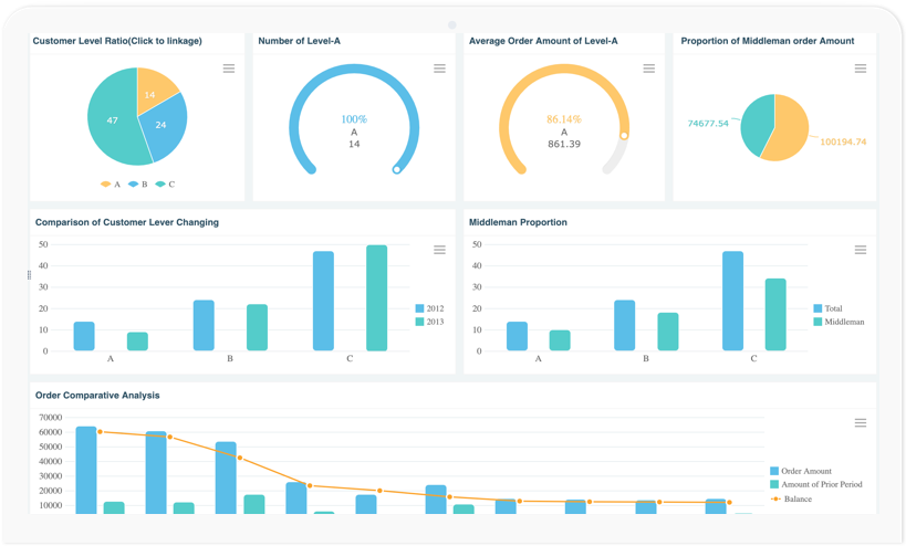 Example Report in FineReport Demo