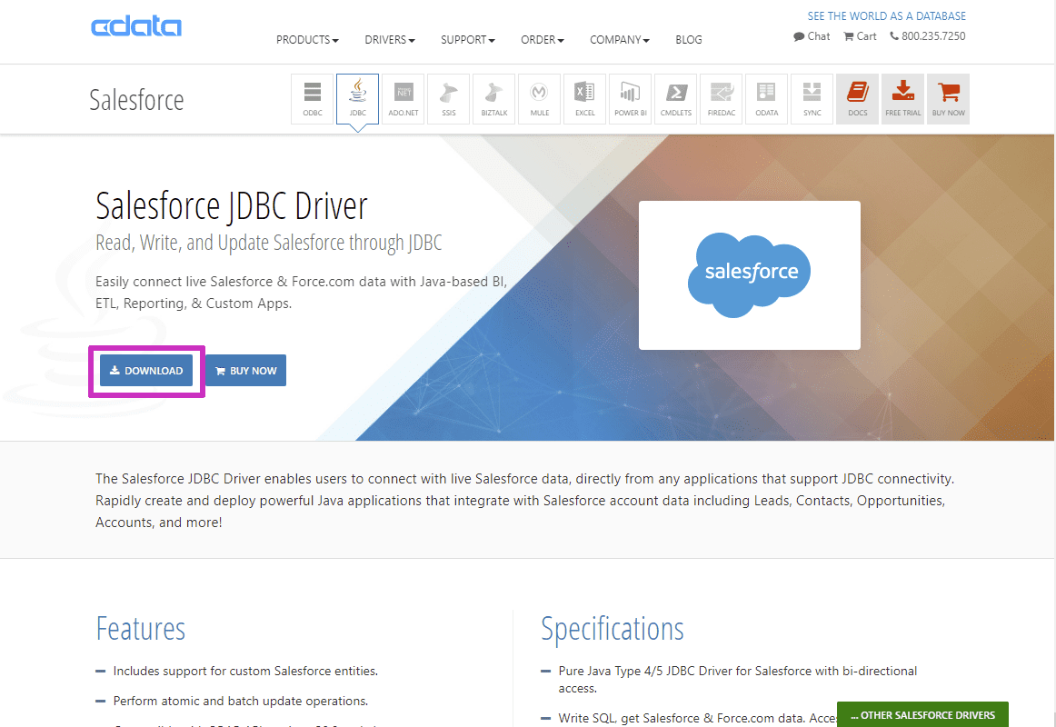 Salesforce接続