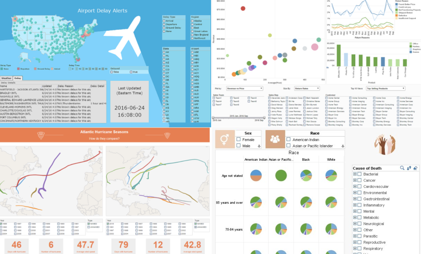 software visualisasi data