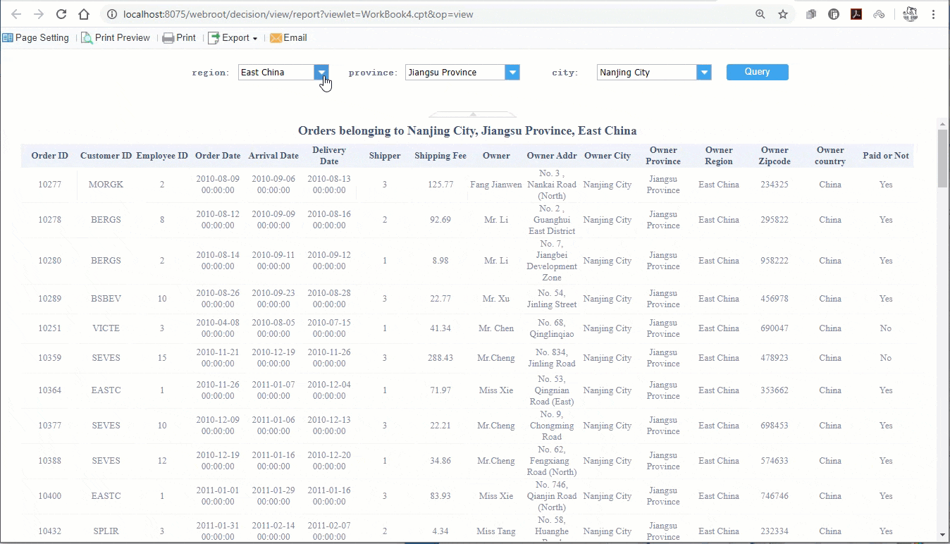 A dynamic report created by FineReport