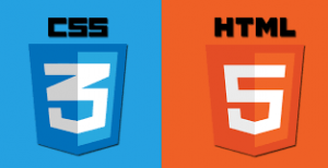 HTML Report: How to Develop it Efficiently?
