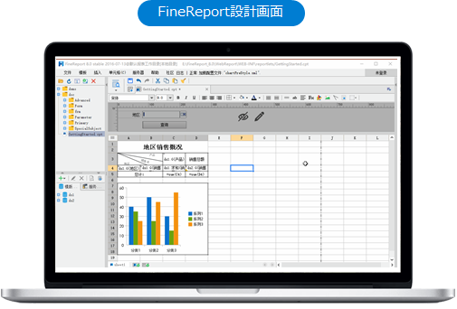 FastReport VS FineReprot