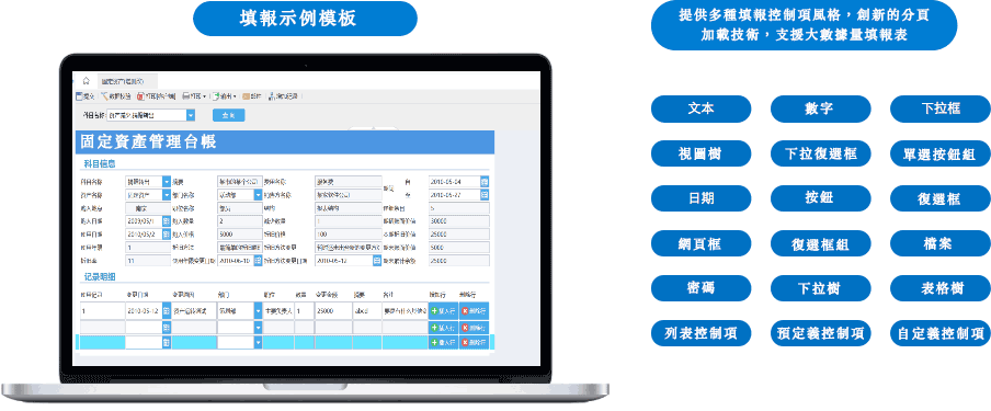 FineReport填報範例