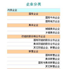 企业web表格制作软件之自定义分组