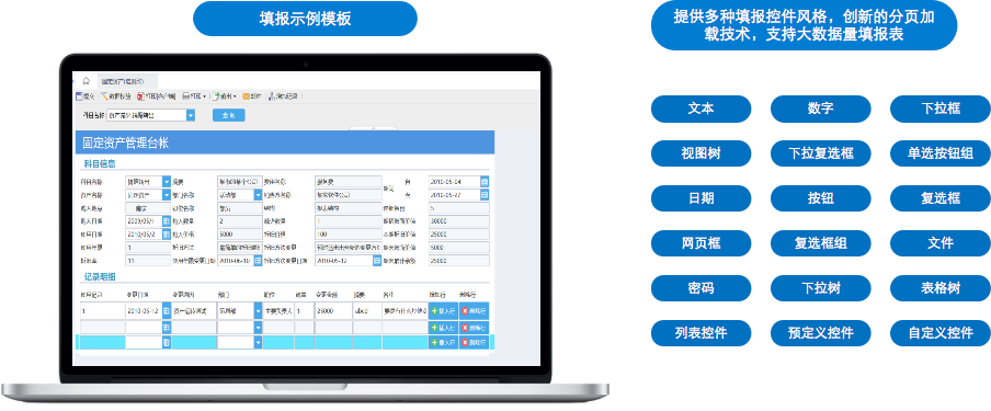 FinePeport免费表单提供了多种填报控件风格，创新地分页加载技术，支持大数据量填报表。