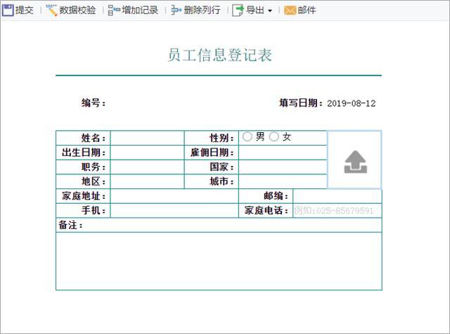 自此,一张简单的自由报表填报模板就完成了,我们可以直接点击预览按钮,在web端进行填报预览。