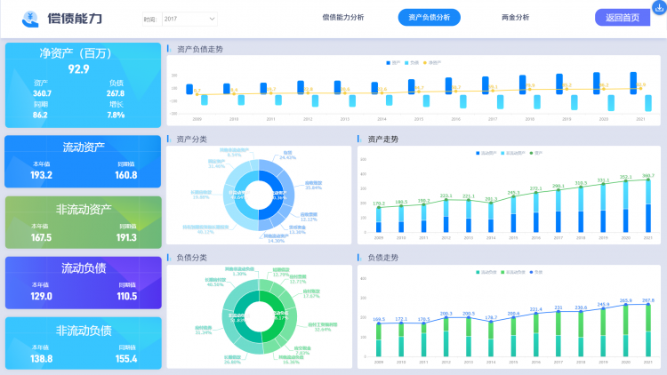 偿债能力报表