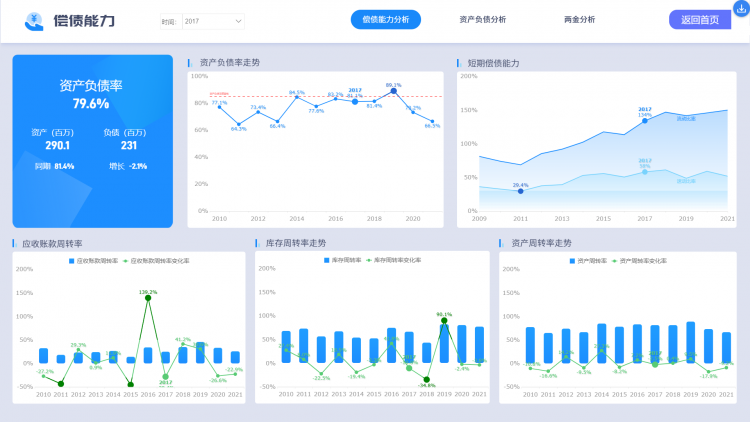 偿债能力分析模板