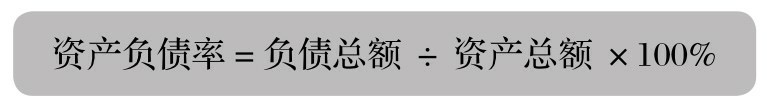 长期偿债能力